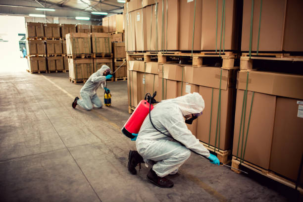 Best Pest Control Treatment  in Pittsboro, IN