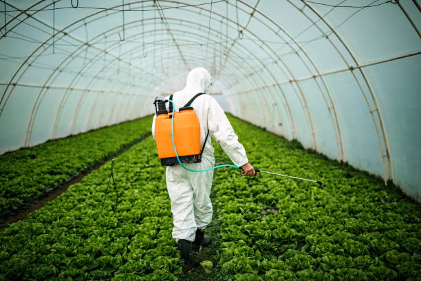 Best Mosquito Control Services  in Pittsboro, IN