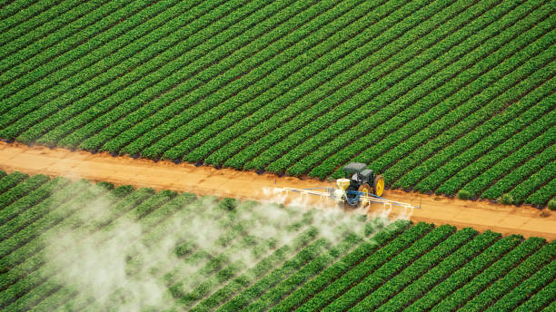 Best Pest Prevention Services  in Pittsboro, IN