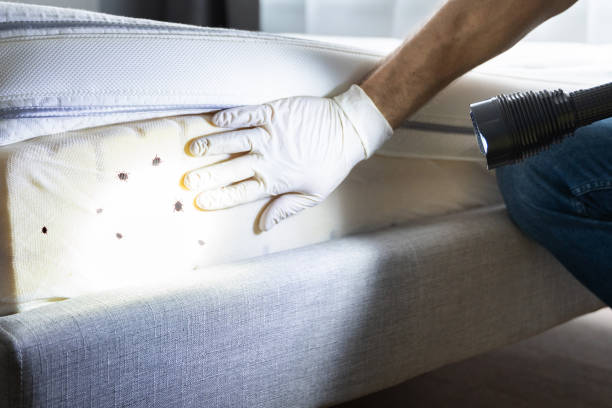 Best Pest Removal Services  in Pittsboro, IN