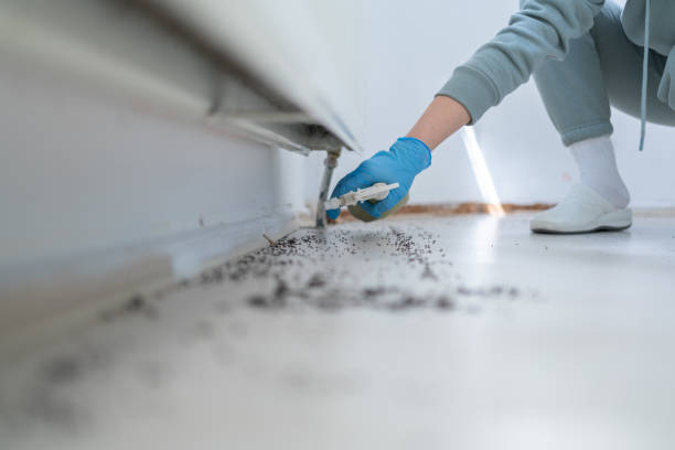 Best Best Pest Control Companies  in Pittsboro, IN