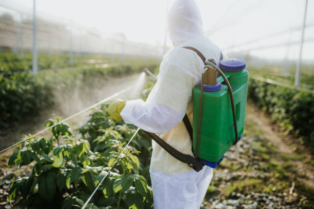 Best Pest Control Near Me  in Pittsboro, IN